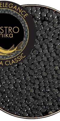 GASTROunika Elegance OSSETRA Classic